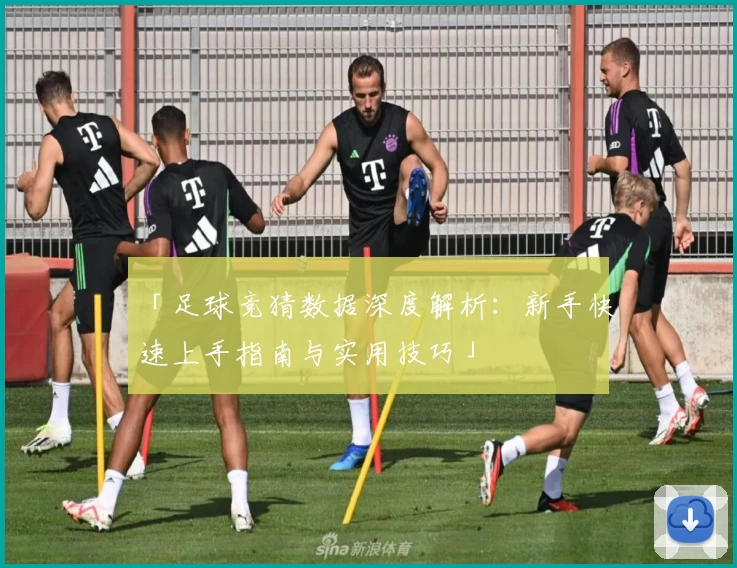 「足球竞猜数据深度解析：新手快速上手指南与实用技巧」