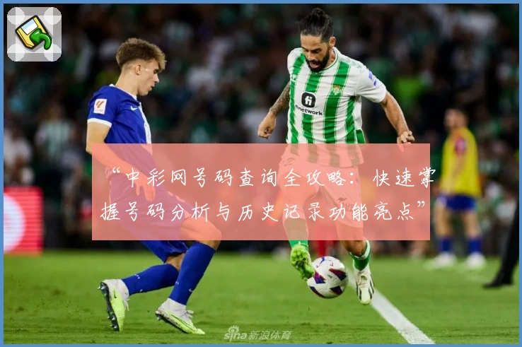“中彩网号码查询全攻略：快速掌握号码分析与历史记录功能亮点”