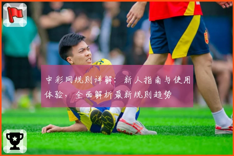 中彩网规则详解：新人指南与使用体验，全面解析最新规则趋势