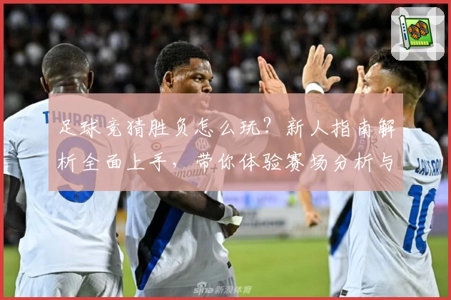 足球竞猜胜负怎么玩？新人指南解析全面上手，带你体验赛场分析与胜负预测乐趣