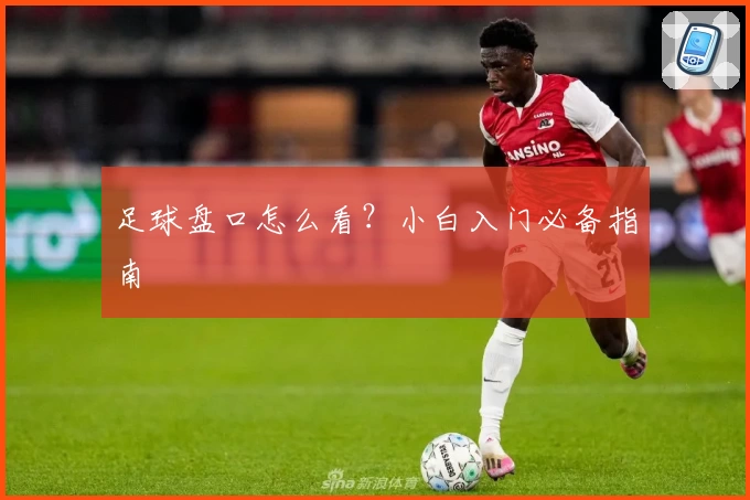 足球盘口怎么看？小白入门必备指南