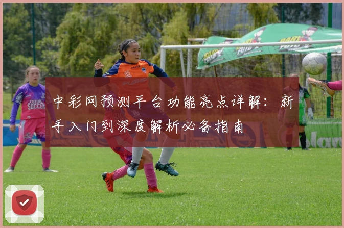 中彩网预测平台功能亮点详解：新手入门到深度解析必备指南